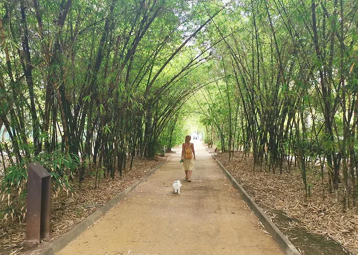 Home2book Perfect Hideaway Monterosso, Cruz Santa Cruz de Tenerife