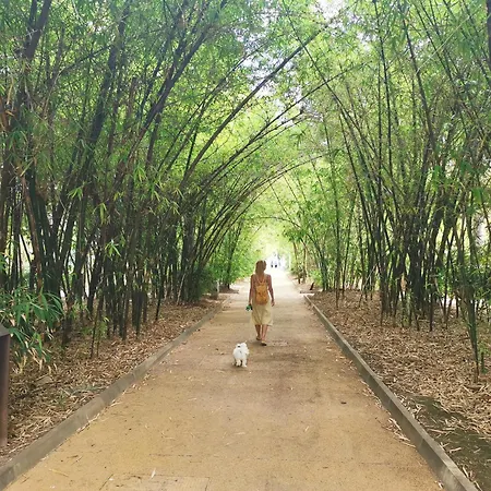 Home2book Perfect Hideaway Monterosso, Cruz Санта-Крус-де-Тенерифе